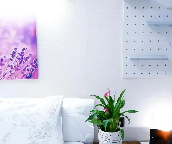 Easo Сан-Себастьян