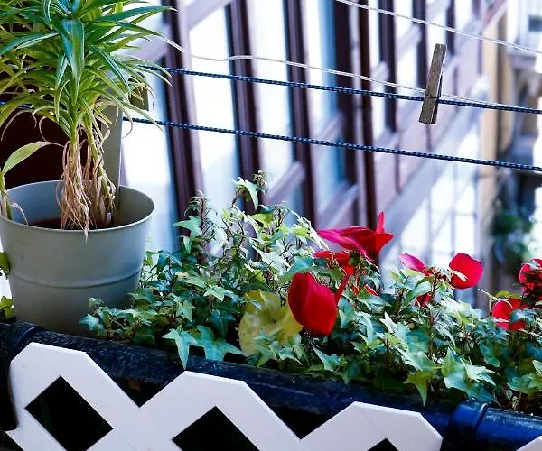 Easo Гостевой дом 4*