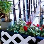 Easo Affittacamere 4*