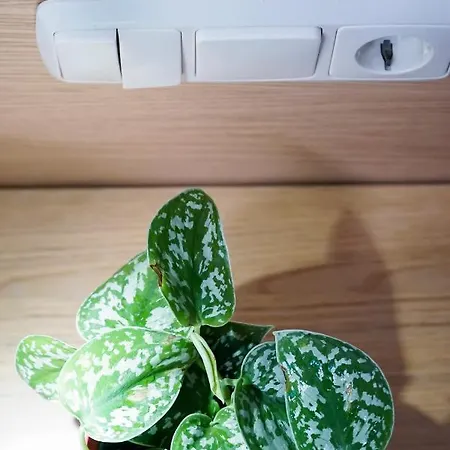 ゲストハウス ペンシオン エアソ