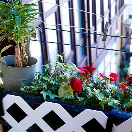 ペンシオン エアソ ゲストハウス 4*