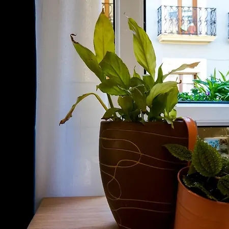 ペンシオン エアソ 4*