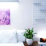 伊索酒店 圣塞瓦斯蒂安